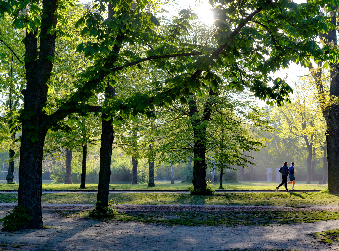 parks in stark county