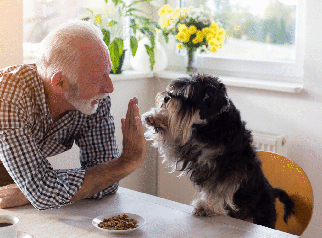 pet friendly assisted living near me
